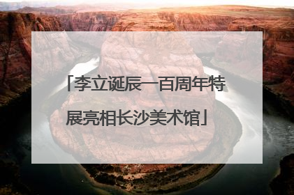 李立诞辰一百周年特展亮相长沙美术馆