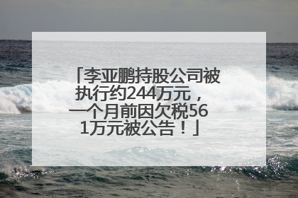 李亚鹏持股公司被执行约244万元，一个月前因欠税561万元被公告！