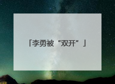 李勇被“双开”