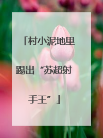 村小泥地里踢出“苏超射手王”