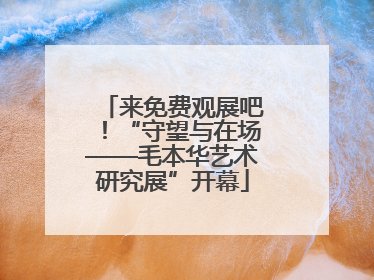 来免费观展吧！“守望与在场——毛本华艺术研究展”开幕