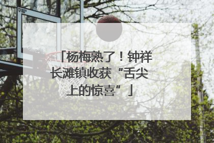 杨梅熟了!钟祥长滩镇收获“舌尖上的惊喜”