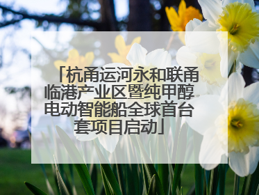 杭甬运河永和联甬临港产业区暨纯甲醇电动智能船全球首台套项目启动
