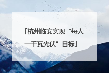 杭州临安实现“每人一千瓦光伏”目标