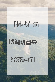 林武在淄博调研督导经济运行