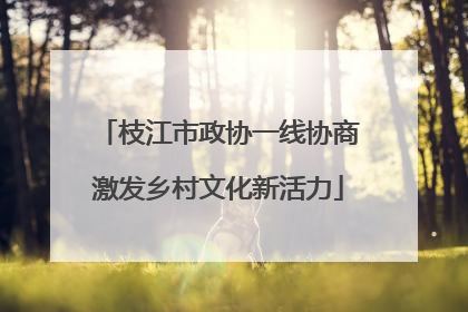 枝江市政协一线协商激发乡村文化新活力