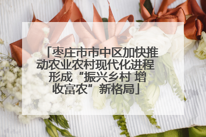 枣庄市市中区加快推动农业农村现代化进程 形成“振兴乡村 增收富农”新格局