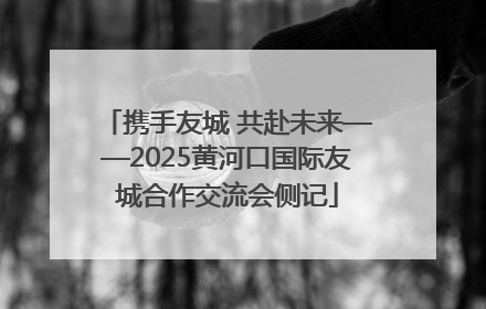 携手友城 共赴未来——2025黄河口国际友城合作交流会侧记