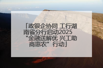 政银企协同 工行湖南省分行启动2025“金融送解优 兴工助商惠农”行动