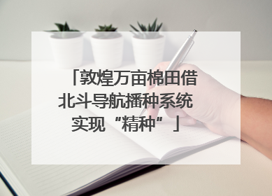 敦煌万亩棉田借北斗导航播种系统实现“精种”