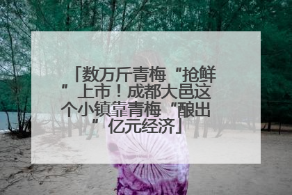 数万斤青梅“抢鲜”上市！成都大邑这个小镇靠青梅“酿出”亿元经济