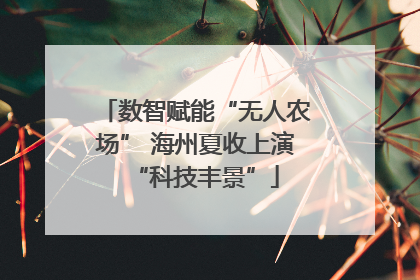 数智赋能“无人农场” 海州夏收上演“科技丰景”