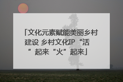 文化元素赋能美丽乡村建设 乡村文化IP“活”起来“火”起来