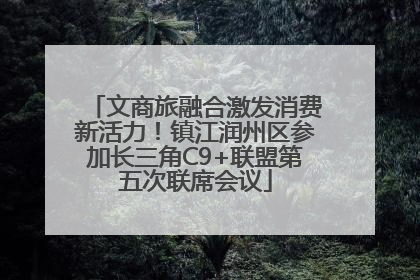 文商旅融合激发消费新活力！镇江润州区参加长三角C9+联盟第五次联席会议