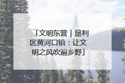 文明东营｜垦利区黄河口镇：让文明之风吹遍乡野