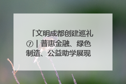 文明成都创建巡礼⑦｜普惠金融、绿色制造、公益助学展现城市文明底色