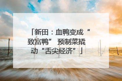 新田：血鸭变成“致富鸭” 预制菜撬动“舌尖经济”