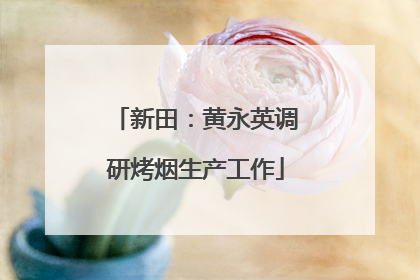 新田：黄永英调研烤烟生产工作