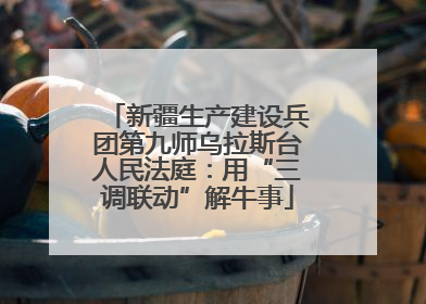 新疆生产建设兵团第九师乌拉斯台人民法庭：用“三调联动”解牛事