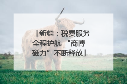 新疆：税费服务全程护航 “商博磁力”不断释放