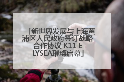 新世界发展与上海黄浦区人民政府签订战略合作协议 K11 ELYSEA璀璨启幕