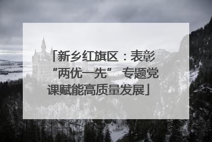 新乡红旗区：表彰 “两优一先” 专题党课赋能高质量发展