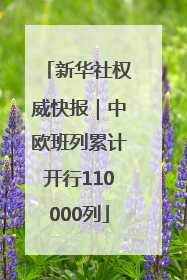 新华社权威快报｜中欧班列累计开行110000列