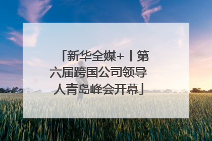 新华全媒+丨第六届跨国公司领导人青岛峰会开幕
