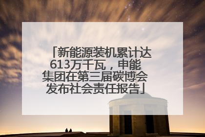 新能源装机累计达613万千瓦，申能集团在第三届碳博会发布社会责任报告