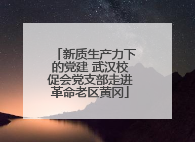 新质生产力下的党建 武汉校促会党支部走进革命老区黄冈