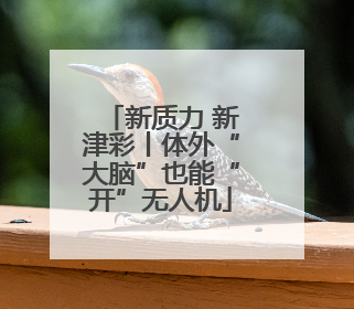 新质力 新津彩丨体外“大脑”也能“开”无人机