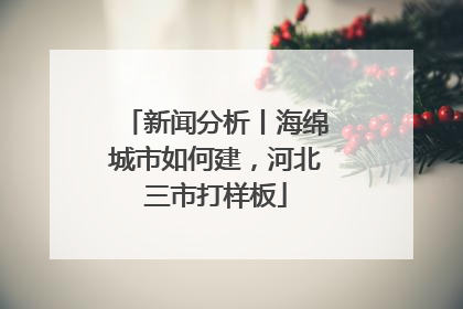 新闻分析丨海绵城市如何建，河北三市打样板
