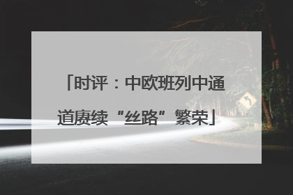 时评：中欧班列中通道赓续“丝路”繁荣