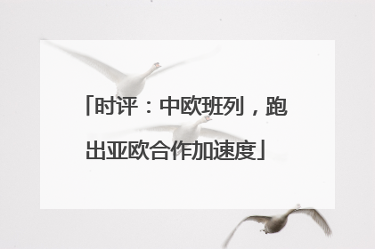 时评：中欧班列，跑出亚欧合作加速度