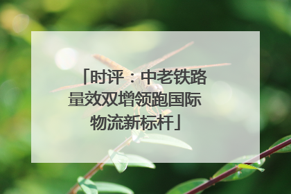 时评：中老铁路量效双增领跑国际物流新标杆