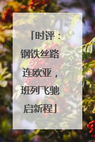 时评：钢铁丝路连欧亚，班列飞驰启新程