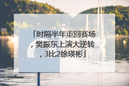 时隔半年重回赛场，樊振东上演大逆转，3比2徐瑛彬