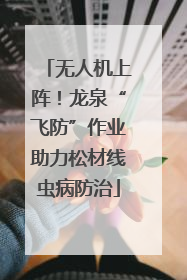 无人机上阵！龙泉“飞防”作业助力松材线虫病防治