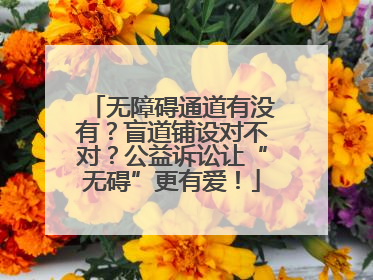 无障碍通道有没有？盲道铺设对不对？公益诉讼让“无碍”更有爱！