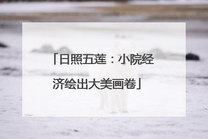 日照五莲：小院经济绘出大美画卷