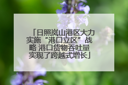 日照岚山港区大力实施“港口立区”战略 港口货物吞吐量实现了跨越式增长