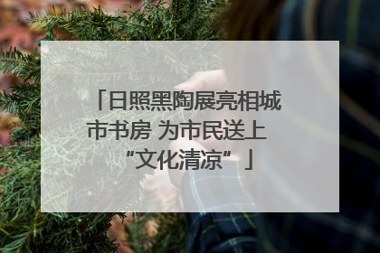 日照黑陶展亮相城市书房 为市民送上“文化清凉”
