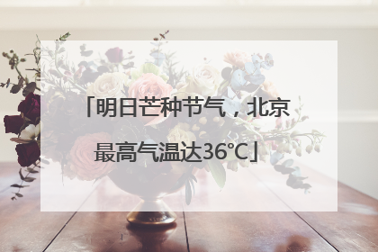 明日芒种节气，北京最高气温达36℃