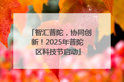 智汇普陀，协同创新！2025年普陀区科技节启动