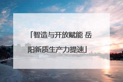 智造与开放赋能 岳阳新质生产力提速