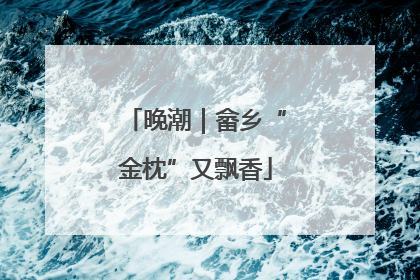 晚潮｜畲乡“金枕”又飘香