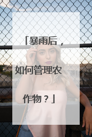 暴雨后，如何管理农作物？