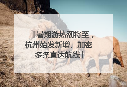 暑期游热潮将至，杭州始发新增、加密多条直达航线