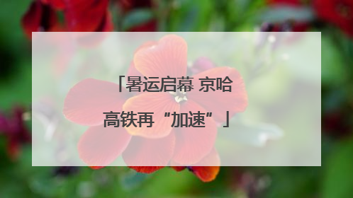 暑运启幕 京哈高铁再“加速”