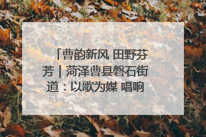 曹韵新风 田野芬芳｜菏泽曹县磐石街道：以歌为媒 唱响乡土“新歌声”